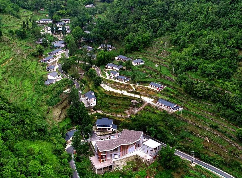 好消息咱们金口河这些地方被命名为先进乡镇示范村和现代农业园区啦