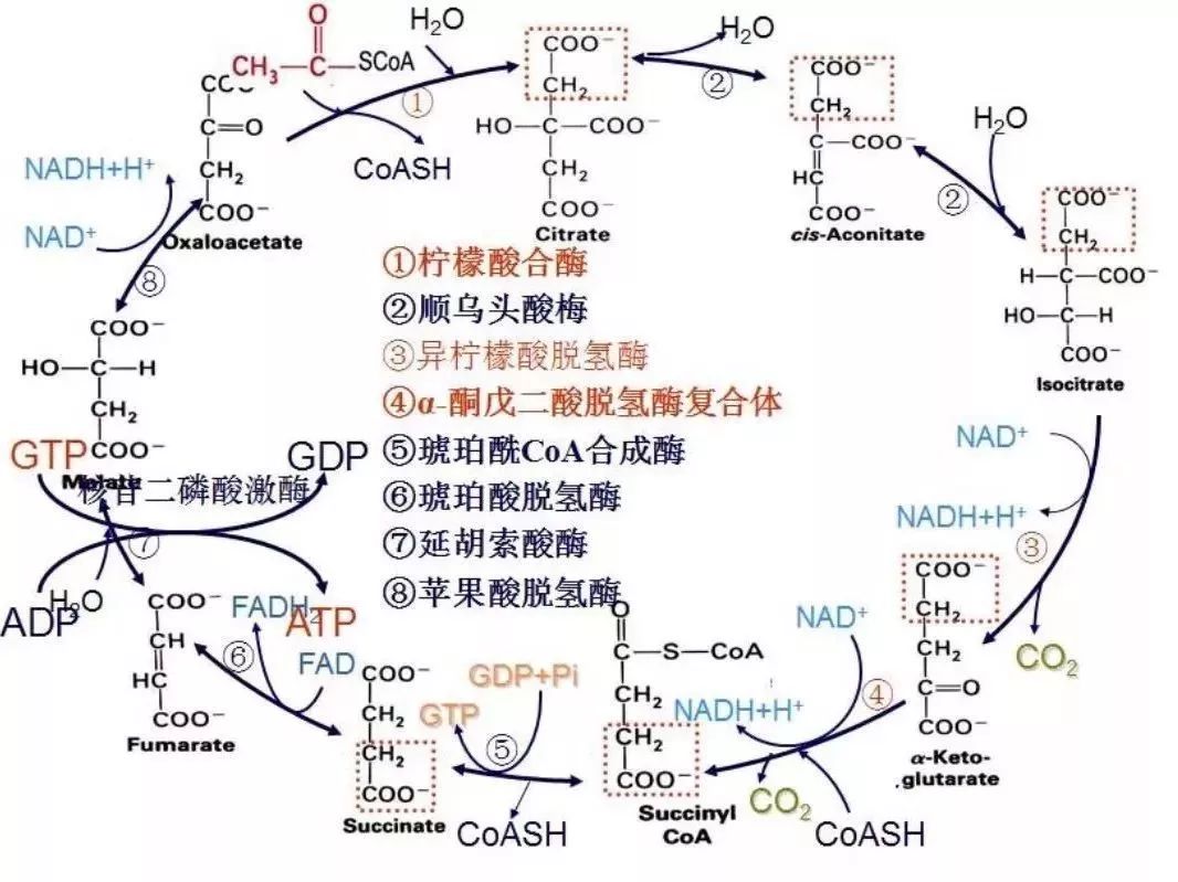 曾经的我们青丝三千也曾红尘留迹现在的我们被迫"出家"只好六根清净