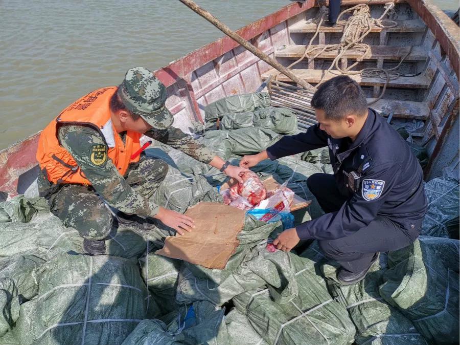 現場查扣走私凍牛肉牛肚40餘噸湛江海警局聯合海關打掉3個凍品走私