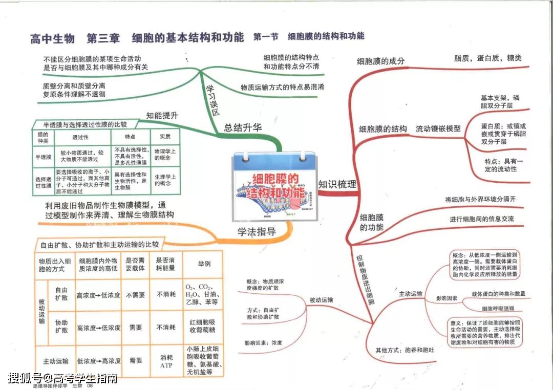 純乾貨45張思維導圖劃出了高中生物所有重點