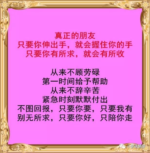 真正的朋友经典好文