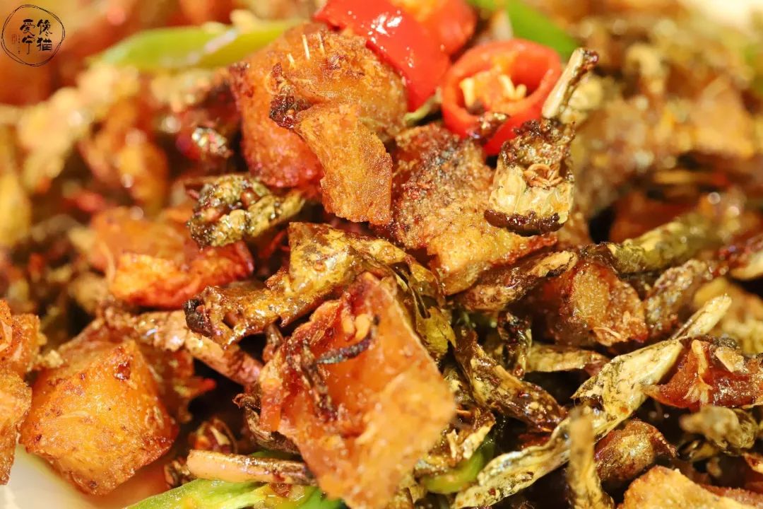 奶香味的肉串巴掌大的羊腰店庆8天白吃撸出火星子也不能停