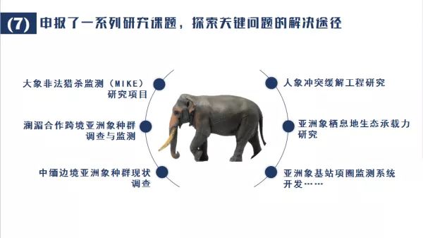 亚洲象国家公园规划图片