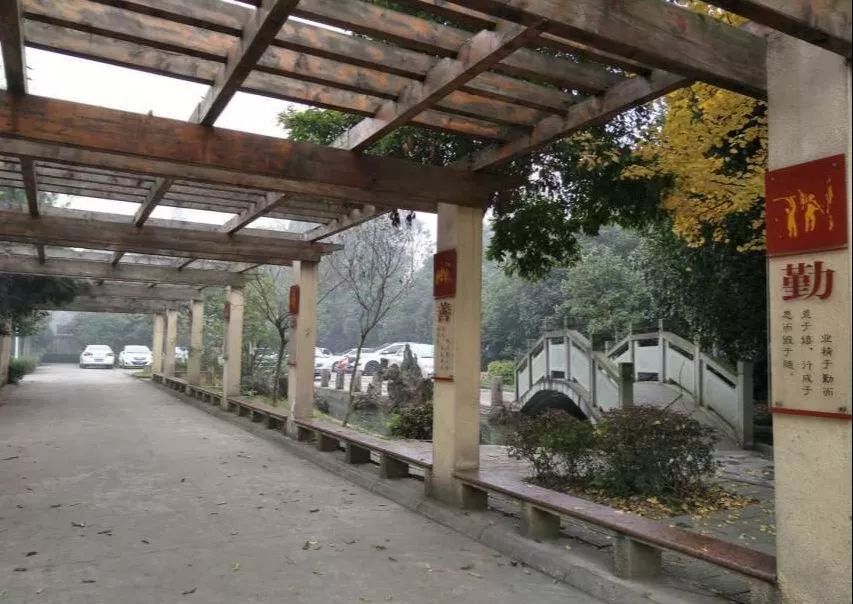 大邑县王泗镇学校 :行知合一,向美而行_风筝