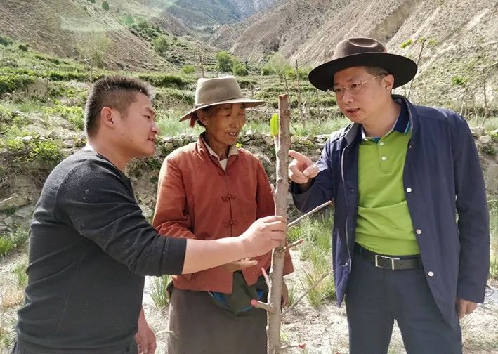 这位闽清干部爬4000米高山28天4次往返拉萨北京忙碌两年多只为