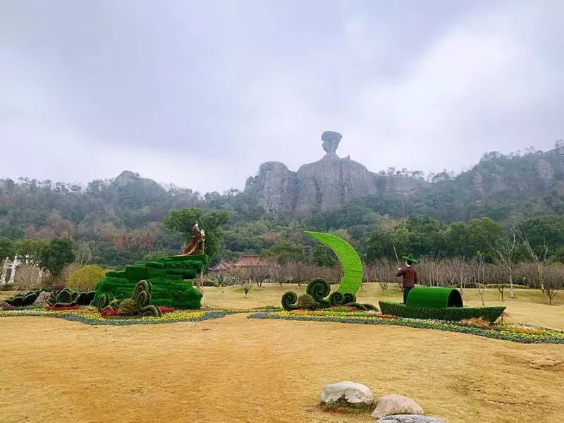 匠心打造台州市体量最大的植物雕塑在五龙山公园揭开面纱