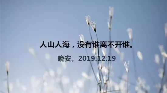 真心经不起失望