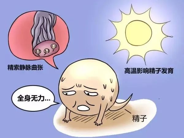 为什么你的精子畸形率这么高?该怎么预防呢?