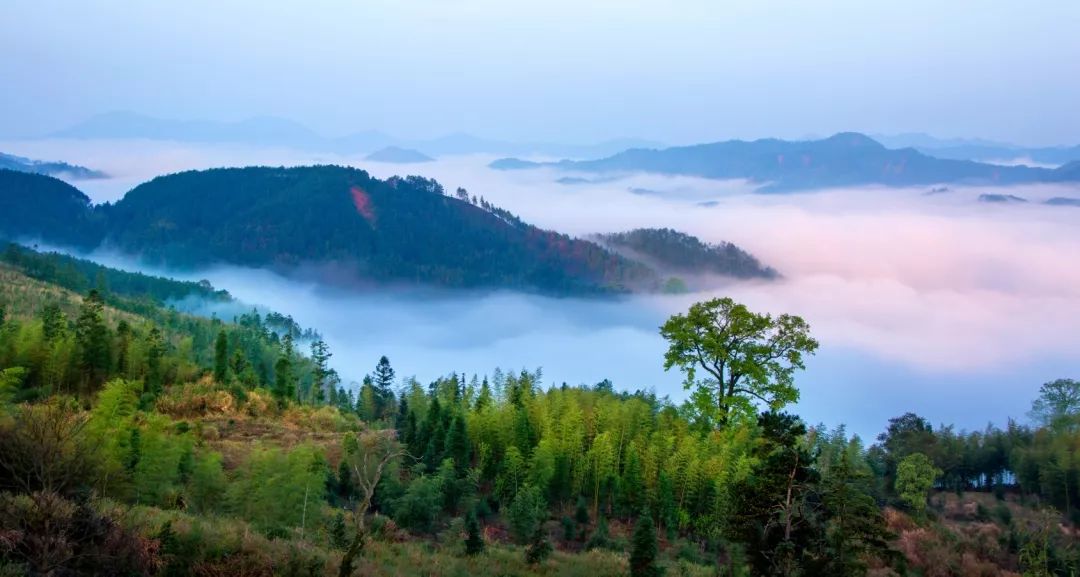 将乐最新航拍美翻了