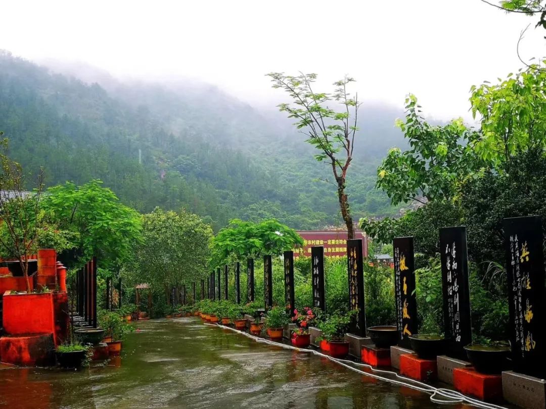 同安罗汉山莲花书院十周年之际全面升级!新亮点全面揭秘!