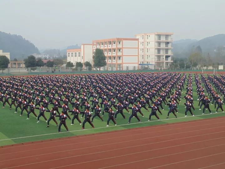 特色教育促进学生健康成长以"全面育人"为目标一年来,名山三中以"提高