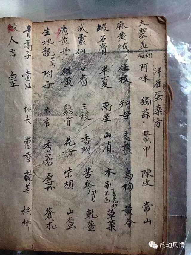 收藏!一次记牢30种易混淆的中药方剂