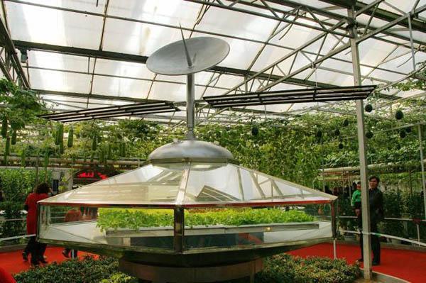 现代农艺之美蔬菜景观大赏