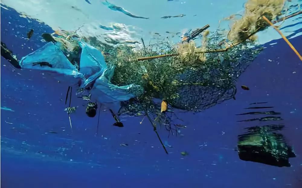 罚倾倒垃圾污染海洋责任人被判赔780多万元