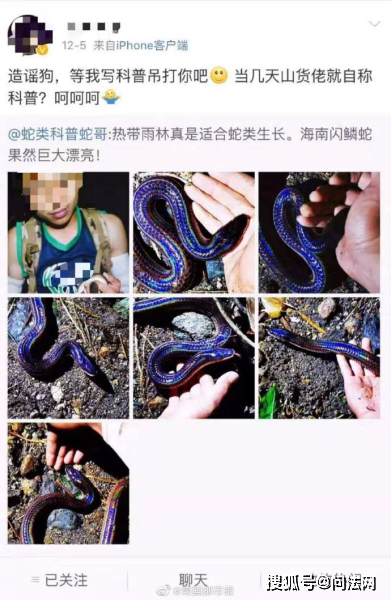 蛇类科普蛇哥庭审记录图片