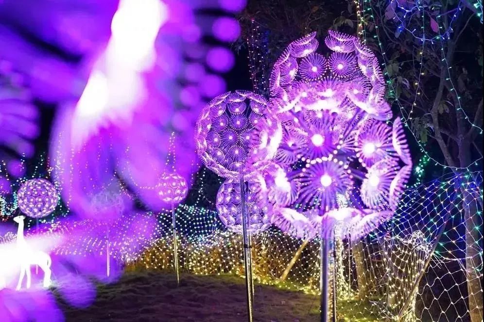 灯会今晚亮灯全息投影镭射舞一场科技大秀亮相常州