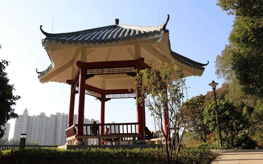 有市民告诉记者在印象中的荔枝公园就是泥路和山,现在好漂亮拍了好多