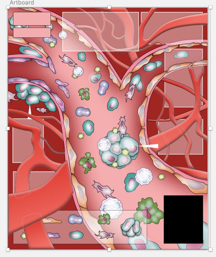 科研绘图漂亮的血管7