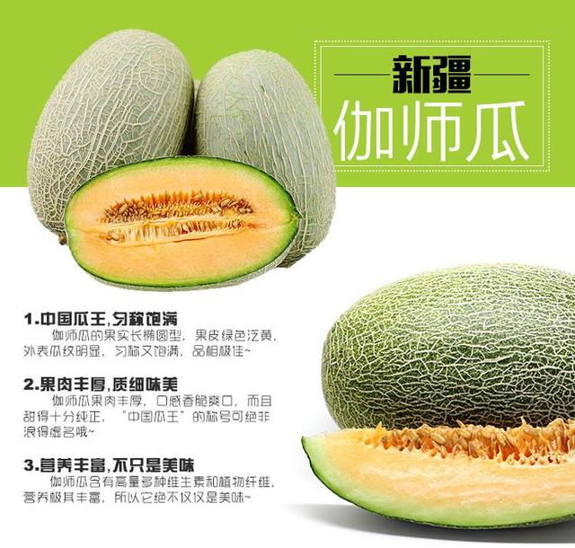 新疆特产介绍之伽师瓜