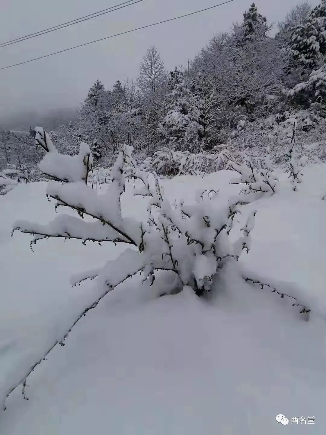 绵阳吴家后山下雪图片