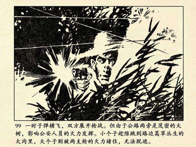 pp连环画当年轰动全国的特大案件追捕二王