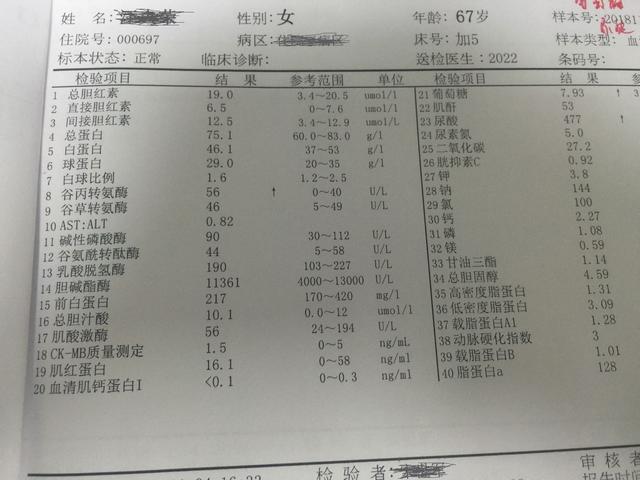 高血压体检报告图片