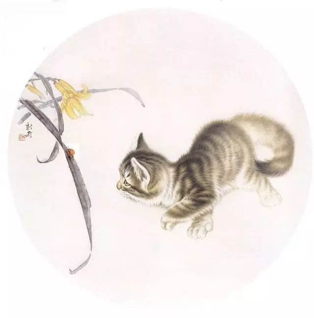画家徐新奇的工笔猫,妙趣横生