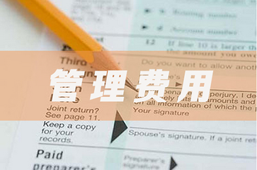 二次开发费用管理