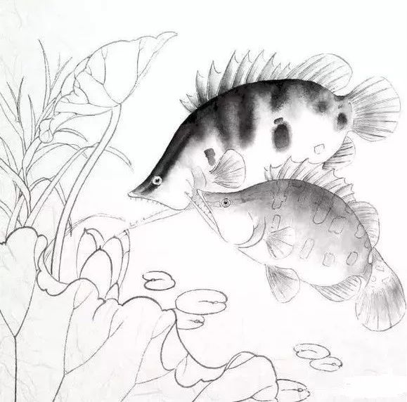 工笔画教程鳜鱼双鱼游水
