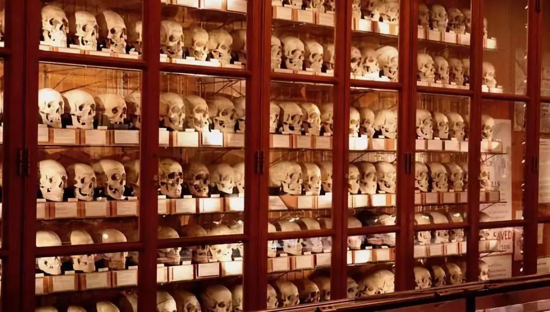 史上最重口味的博物馆充满最猎奇的藏品却最医者仁心