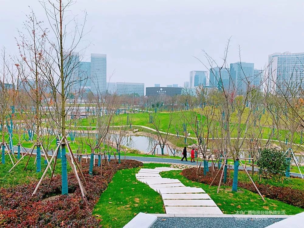 你没看错就是这里太仓市民公园今天开园啦快约起来