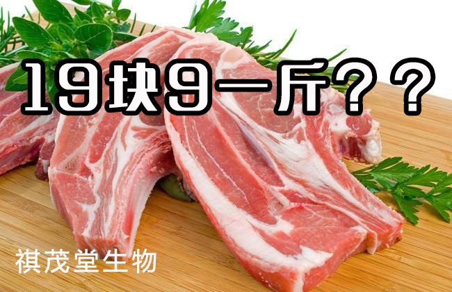 猪肉19块9一斤你敢信?阿里惊现全网最低猪肉价格!