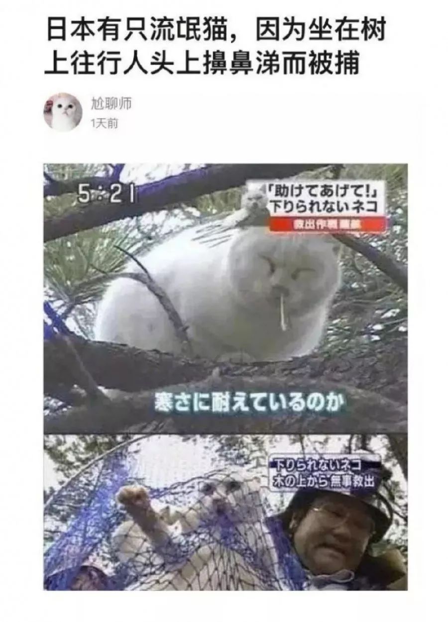 2019年度爆笑新闻出炉,最后一个笑到我头掉哈哈哈