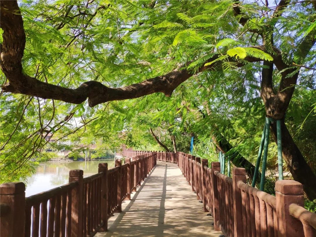 伦教有条时光隧道带你重回上世纪