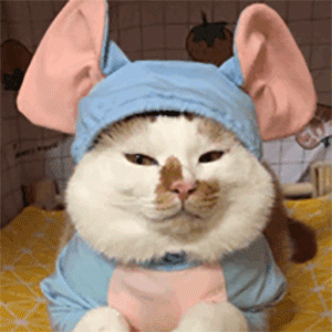 300_300gif 动态图 动图