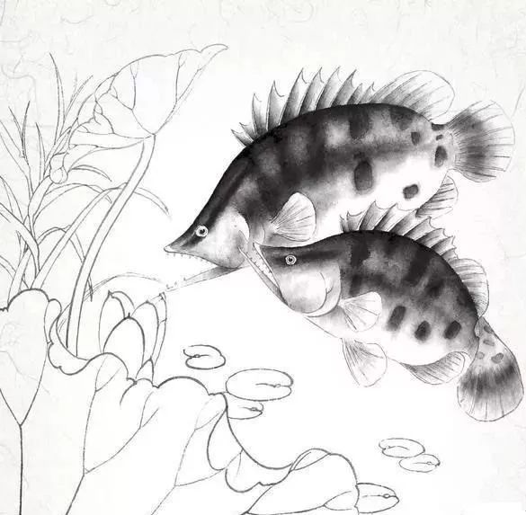 工笔画教程鳜鱼双鱼游水