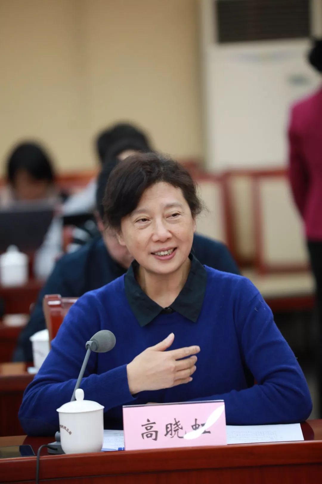 中国传媒大学新闻传播学部学部长,长江学者高晓虹也评价道:"这个片子