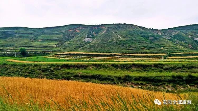 彭阳县彭阳县每乡一景你认出来了吗