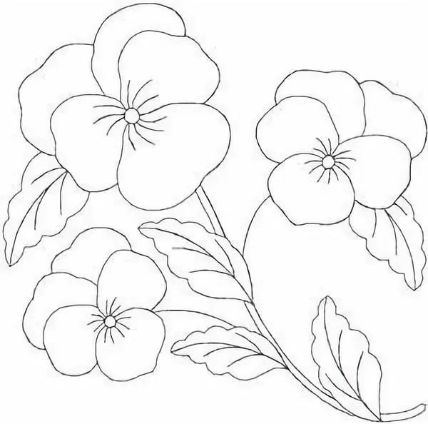 除了绣玫瑰,你还可以绣这样的花儿!(附教程)