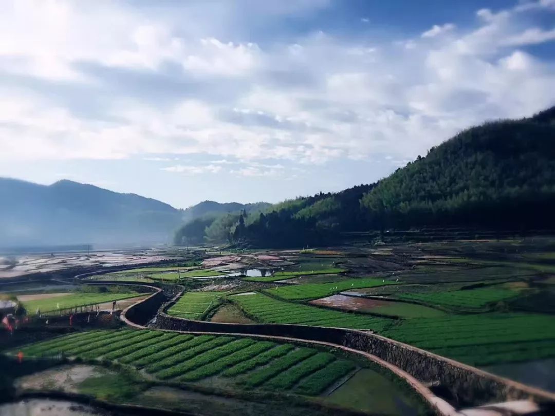 你好,文成!—— 这里是桂山_山乡
