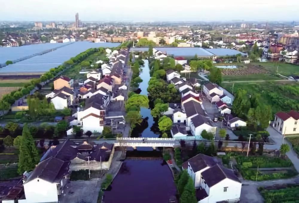 嘉善这个村荣获"浙江省生态文化基地"称号!