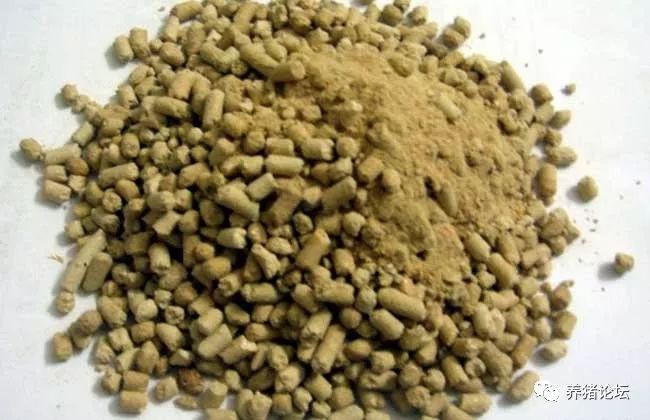 判断猪饲料质量好坏的几个误区_养猪户