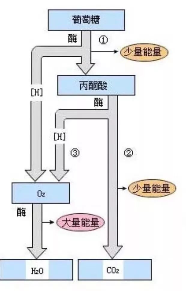 曾经的我们青丝三千也曾红尘留迹现在的我们被迫"出家"只好六根清净