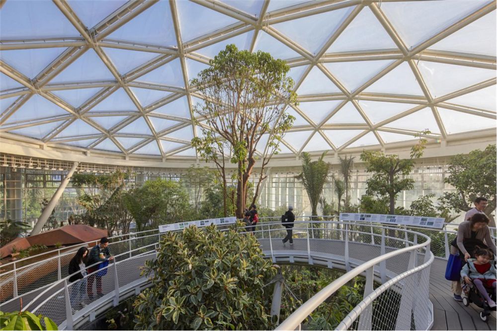 王辉:如果不发朋友圈你就不存在了吗?