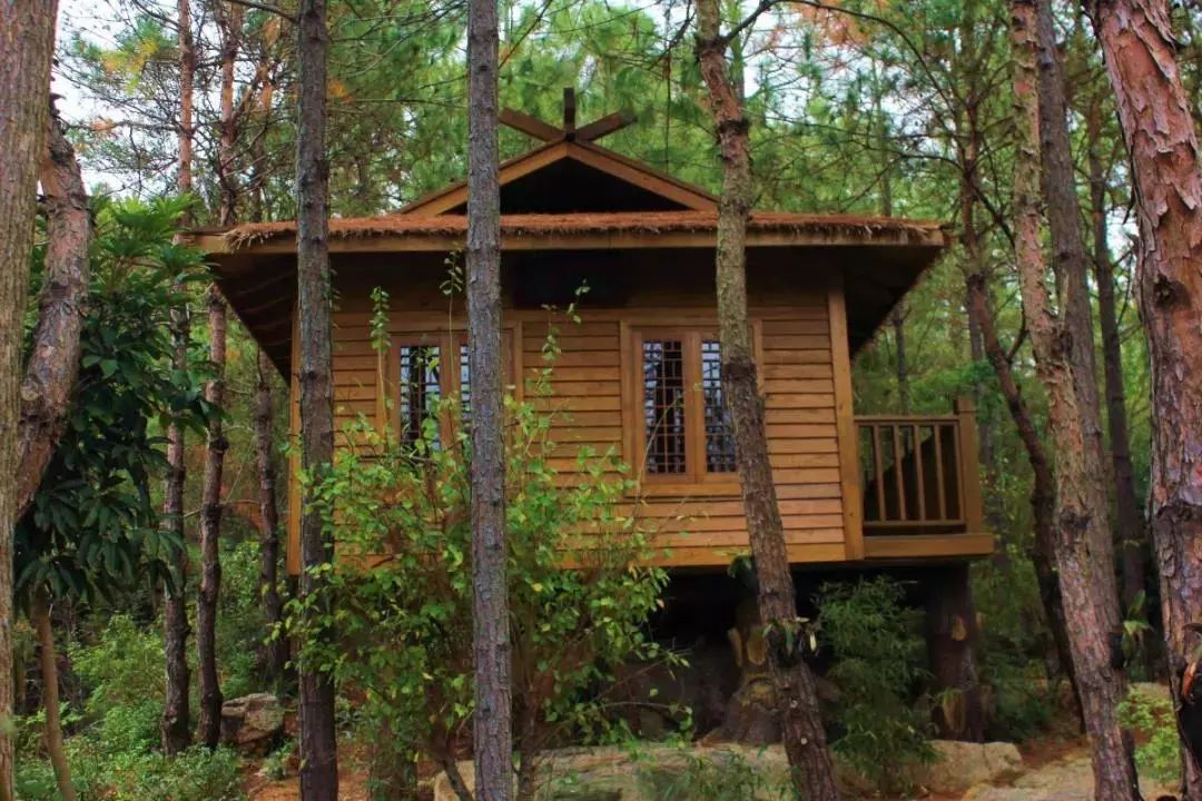 关注两岸一条心共饮一杯茶