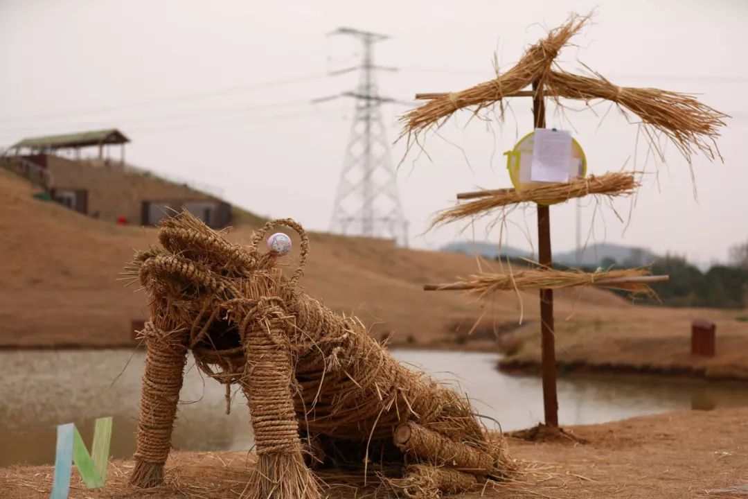 这些稻草太调皮啦溪田杯稻草创意大赛成功举办