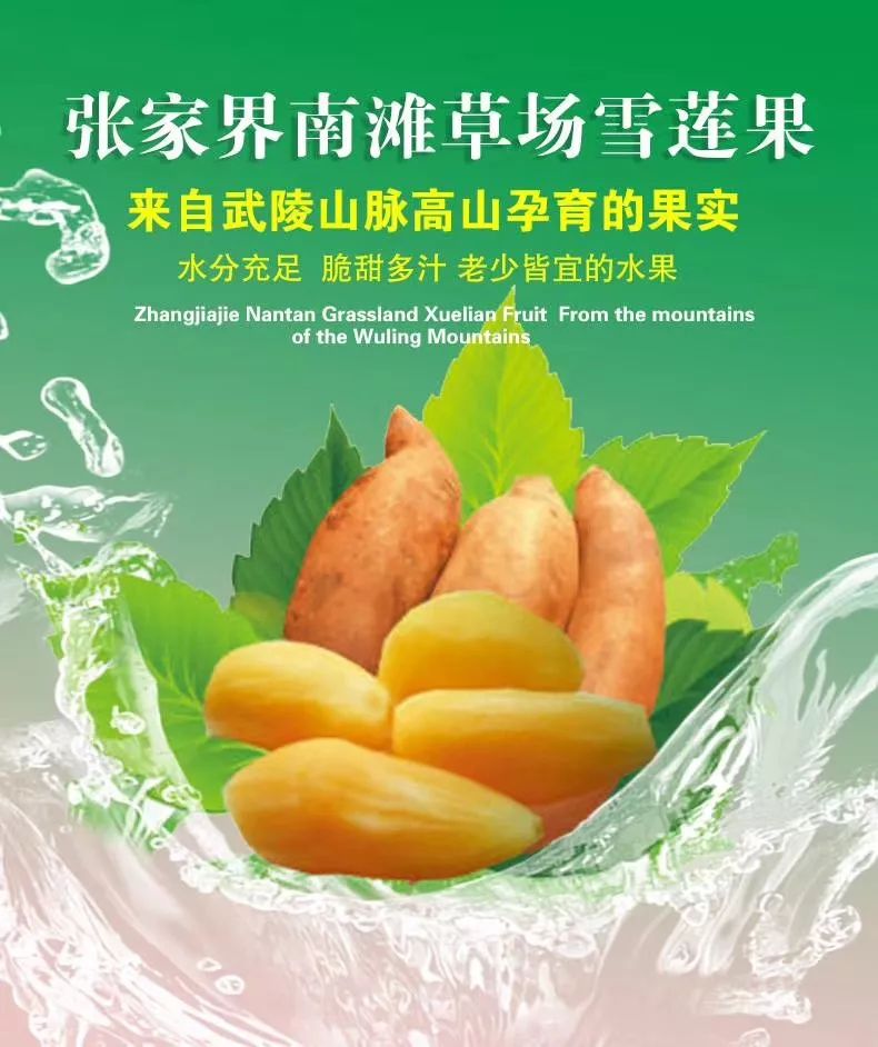 张家界雪莲果来啦水分充足脆甜多汁老少皆宜