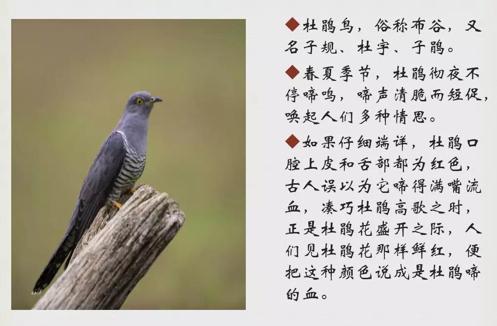 提升孩子的阅读兴趣,扩展阅读视野,不能用蛮劲儿,要借力打力_考试