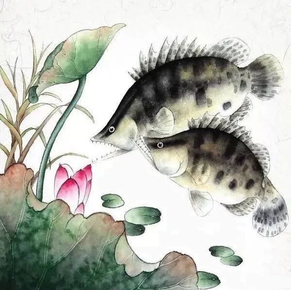 工笔画教程鳜鱼双鱼游水