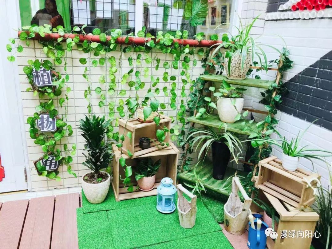 漫绿环创浸润童心江门市蓬江区新向阳幼儿园班级环境创设观摩评比活动